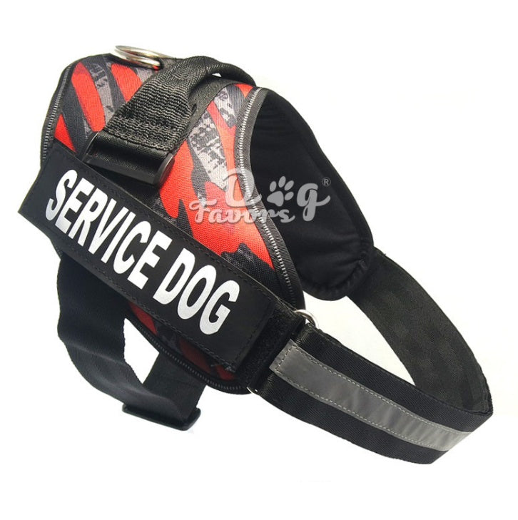 DogDogDogDogDogDogDogDog