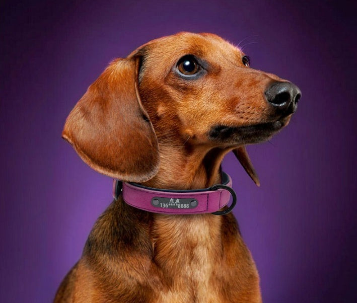 Dog Tag Identity Card Customization 